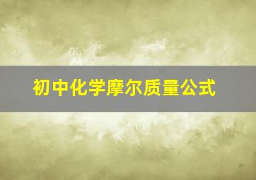 初中化学摩尔质量公式