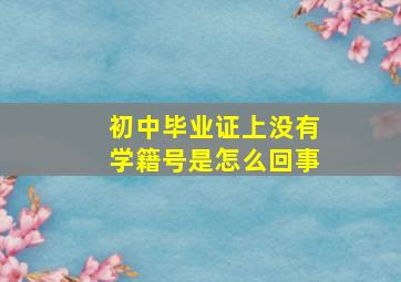 初中毕业证上没有学籍号是怎么回事