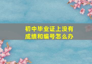 初中毕业证上没有成绩和编号怎么办