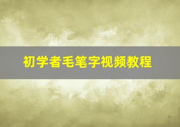 初学者毛笔字视频教程