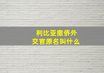 利比亚撤侨外交官原名叫什么