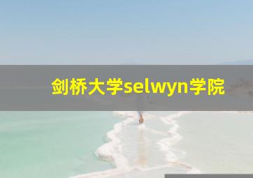 剑桥大学selwyn学院