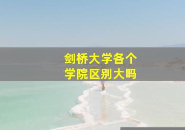 剑桥大学各个学院区别大吗