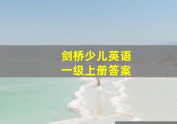 剑桥少儿英语一级上册答案