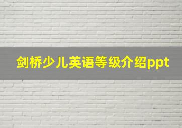 剑桥少儿英语等级介绍ppt