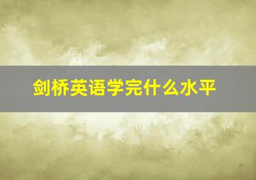 剑桥英语学完什么水平