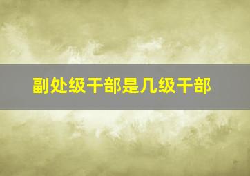 副处级干部是几级干部