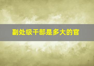 副处级干部是多大的官