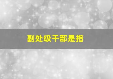 副处级干部是指