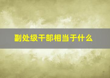 副处级干部相当于什么