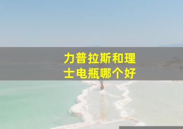 力普拉斯和理士电瓶哪个好