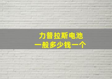 力普拉斯电池一般多少钱一个