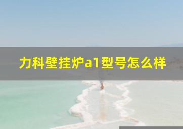 力科壁挂炉a1型号怎么样