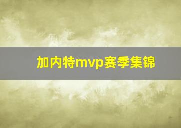 加内特mvp赛季集锦