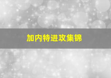 加内特进攻集锦