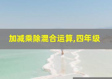 加减乘除混合运算,四年级