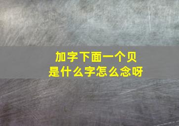 加字下面一个贝是什么字怎么念呀