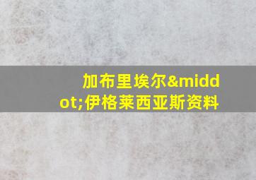 加布里埃尔·伊格莱西亚斯资料