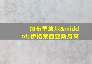 加布里埃尔·伊格莱西亚斯身高