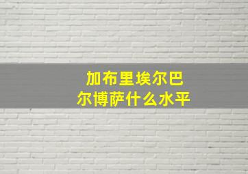 加布里埃尔巴尔博萨什么水平