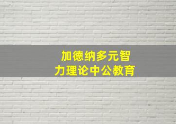 加德纳多元智力理论中公教育