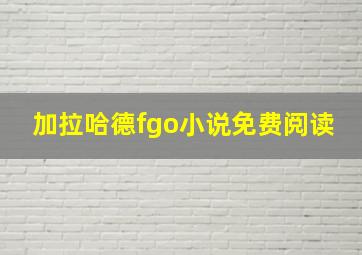 加拉哈德fgo小说免费阅读