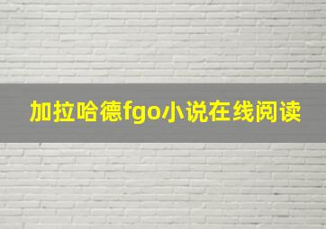 加拉哈德fgo小说在线阅读