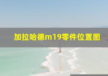 加拉哈德m19零件位置图