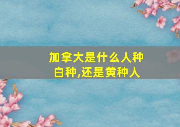 加拿大是什么人种白种,还是黄种人