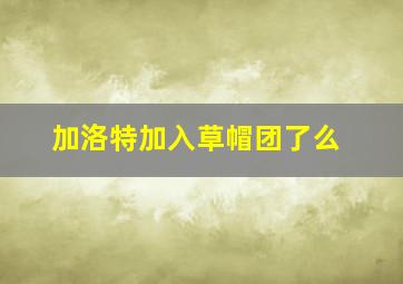 加洛特加入草帽团了么