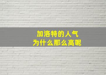 加洛特的人气为什么那么高呢