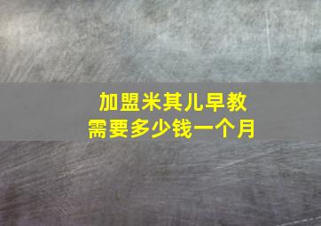 加盟米其儿早教需要多少钱一个月