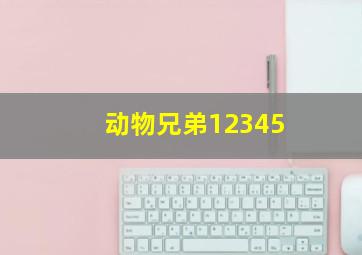 动物兄弟12345