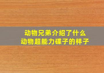 动物兄弟介绍了什么动物超能力碟子的样子