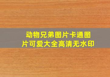 动物兄弟图片卡通图片可爱大全高清无水印