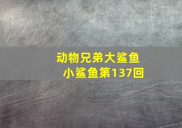 动物兄弟大鲨鱼小鲨鱼第137回