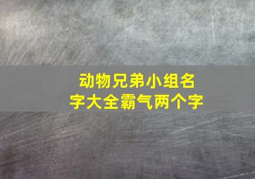 动物兄弟小组名字大全霸气两个字