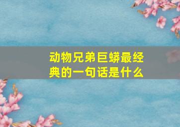 动物兄弟巨蟒最经典的一句话是什么