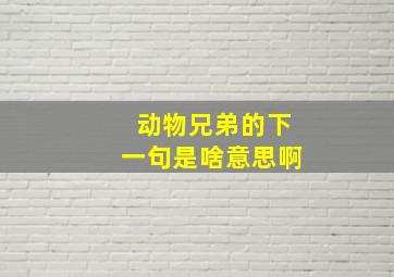 动物兄弟的下一句是啥意思啊