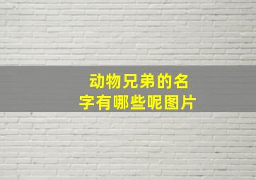 动物兄弟的名字有哪些呢图片