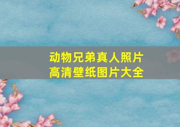 动物兄弟真人照片高清壁纸图片大全