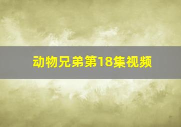 动物兄弟第18集视频