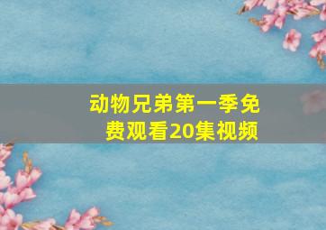 动物兄弟第一季免费观看20集视频