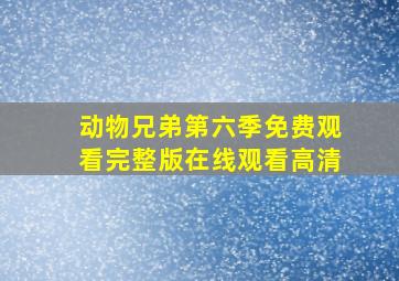 动物兄弟第六季免费观看完整版在线观看高清