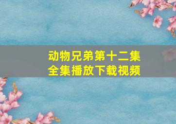 动物兄弟第十二集全集播放下载视频