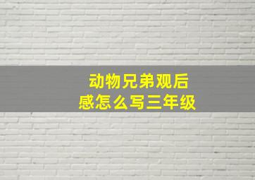 动物兄弟观后感怎么写三年级