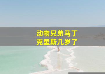 动物兄弟马丁克里斯几岁了