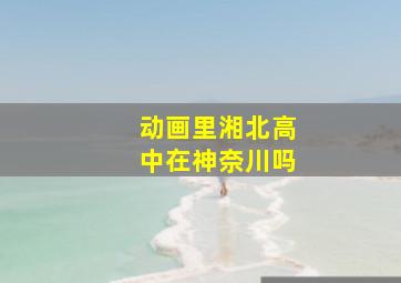 动画里湘北高中在神奈川吗