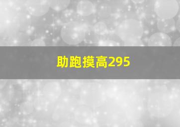 助跑摸高295