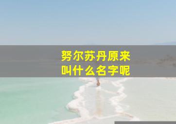 努尔苏丹原来叫什么名字呢